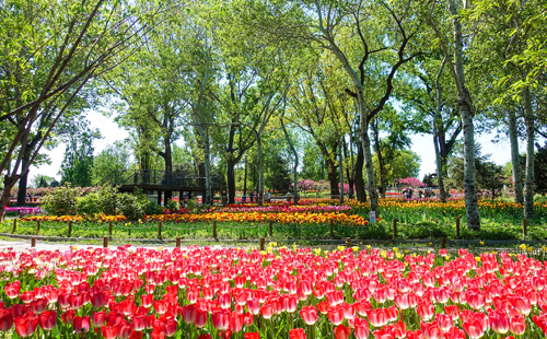 Our Work - RFI Limited